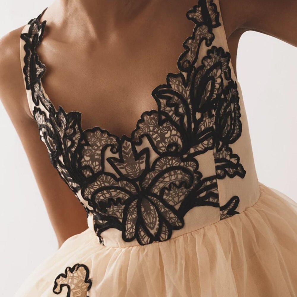 Anthropologie Maeve Sleeveless V-Neck Lace Fit And Flare Mini Dress Size 6 NWT - Picture 5 of 15